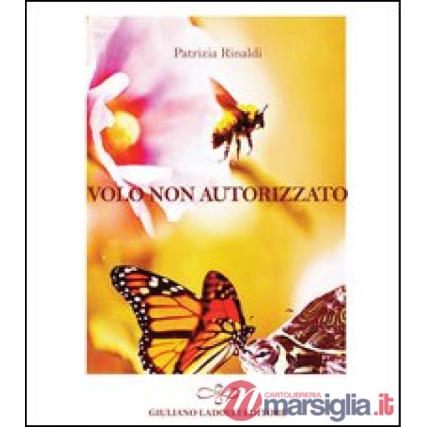 Volo non autorizzato