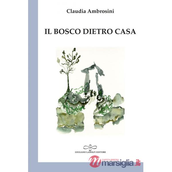 Bosco dietro casa (Il)