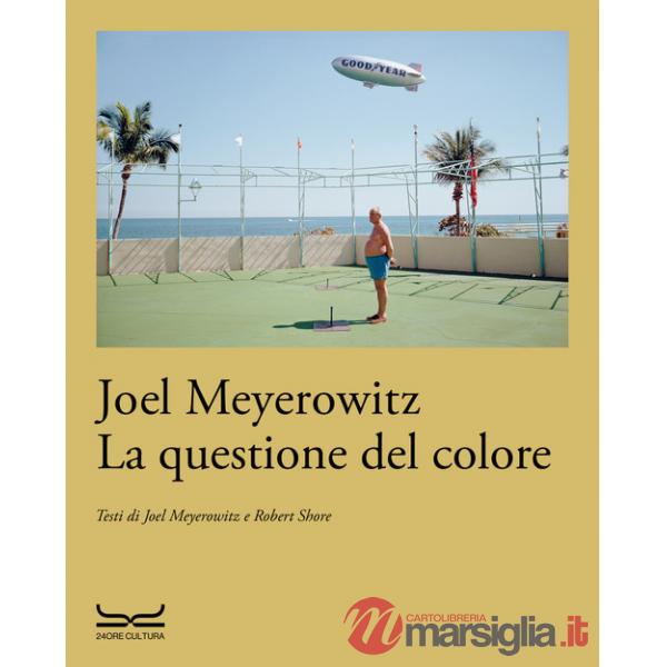 Questione del colore (La)