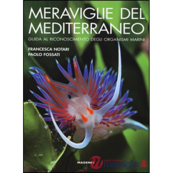 Meraviglie del Mediterraneo. Guida al riconoscimento degli organismi marini. Ediz. illustrata