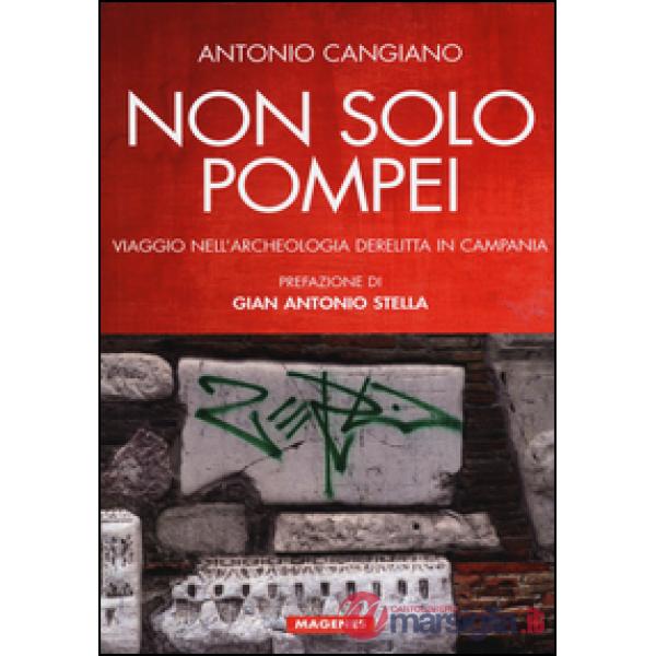 Non solo Pompei. Viaggio nell'archeologia derelitta in Campania