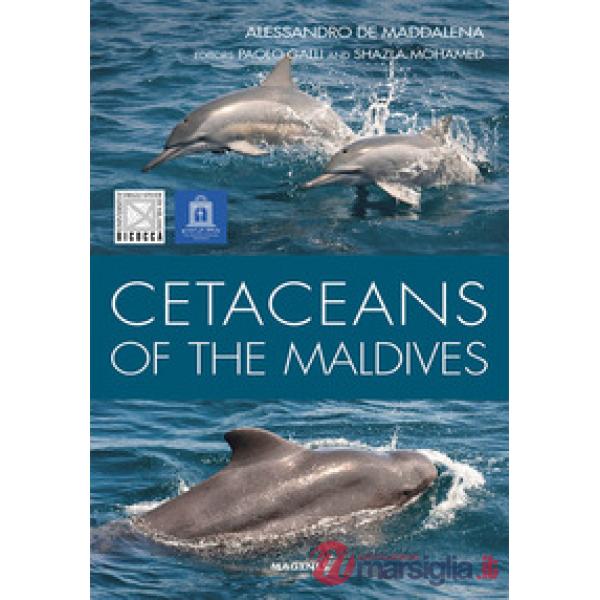 Cetaceans of the Maldives