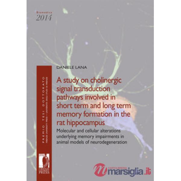 Study on cholinergic signal transduction pathways involved in short term and long term memory formation in the rat hippocampus. 