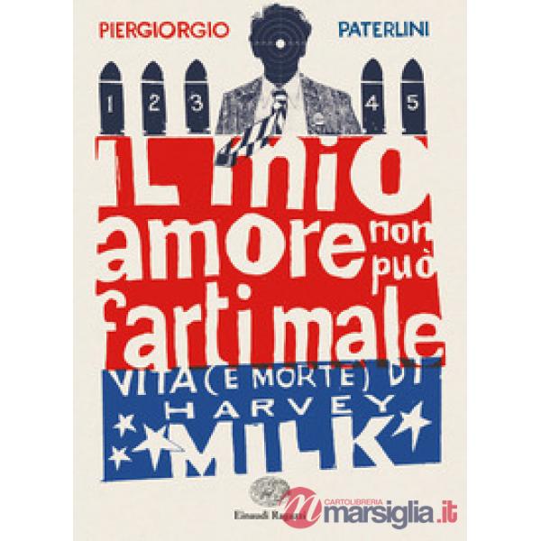 Mio amore non può farti male. Vita (e morte) di Harvey Milk (Il)