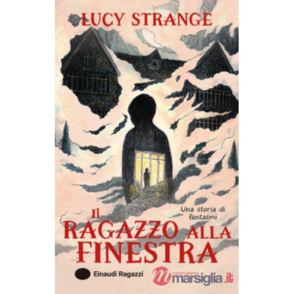 Ragazzo alla finestra. Ediz. illustrata (Il)