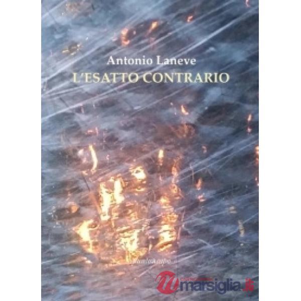 Esatto contrario (L')