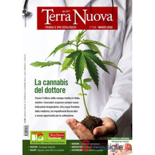 Terra nuova (2020). Vol. 3: La cannabis del dottore
