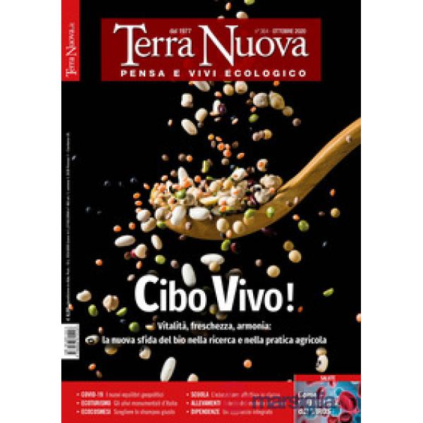 Terra nuova (2020). Vol. 9: Ottobre