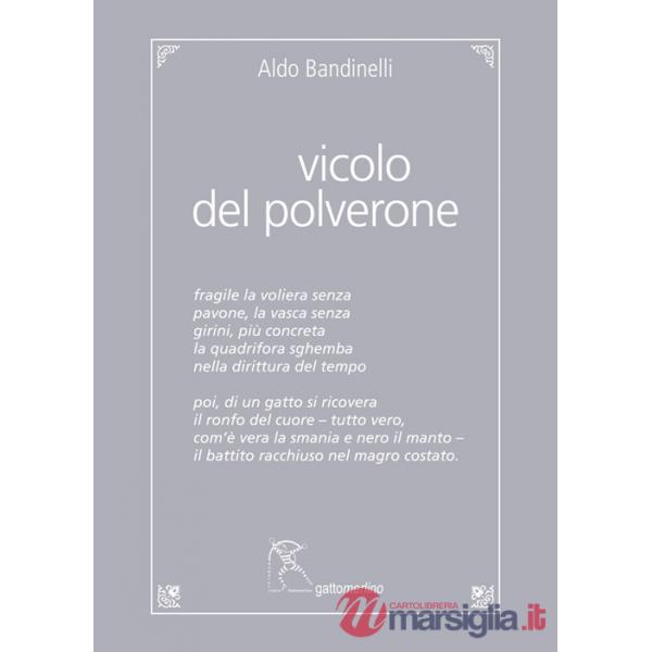 Vicolo del Polverone. Appunti a Roma. Ediz. integrale