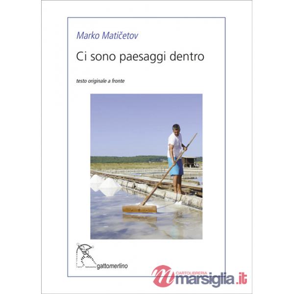 Ci sono paesaggi dentro. Ediz. multilingue