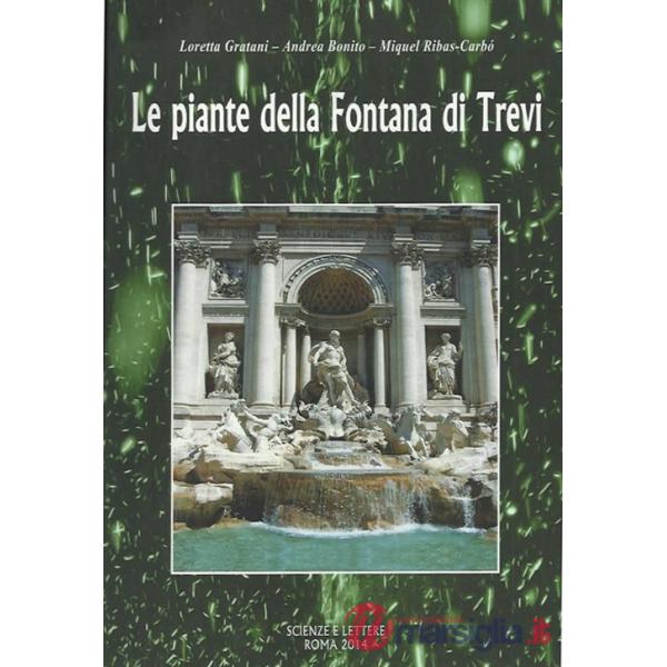 Piante della fontana di Trevi (Le)