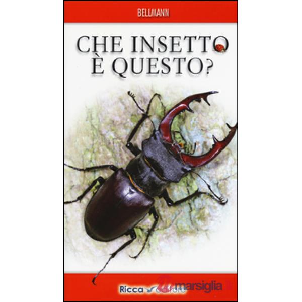 Che insetto è questo? Ediz. illustrata