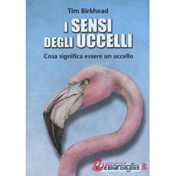 Sensi degli uccelli. Cosa significa essere un uccello (i)
