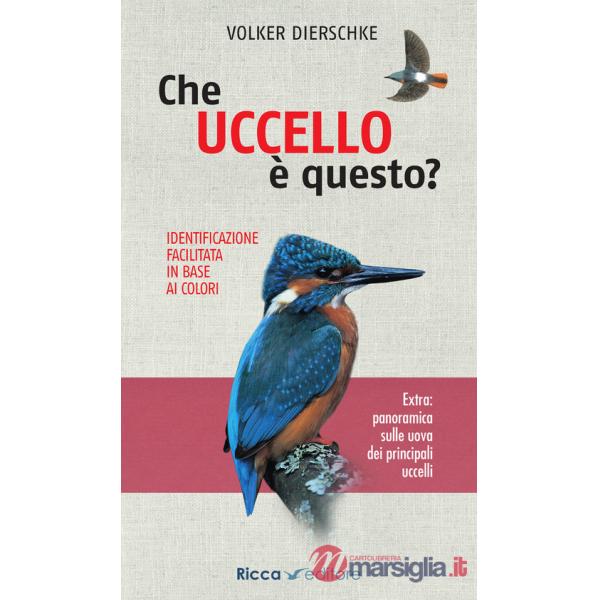 Che uccello è questo?