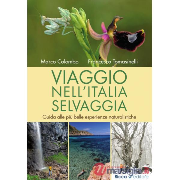 Viaggio nell'Italia selvaggia. Guida alle più belle esperienze naturalistiche. Ediz. illustrata