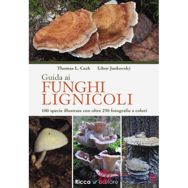 Guida ai funghi lignicoli