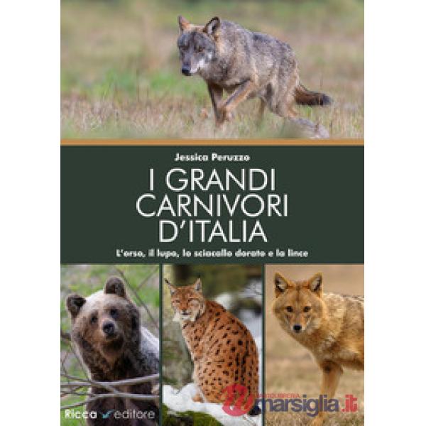 Grandi carnivori d'Italia. L'orso, il lupo, lo sciacallo dorato e la lince (I)