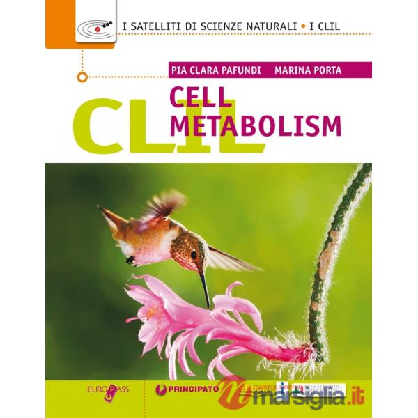 CLIL CELL METABOLISM