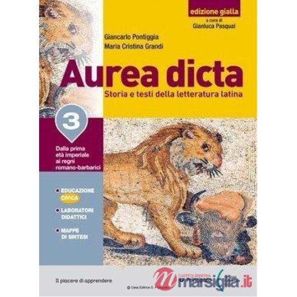 AUREA DICTA GIALLA 3