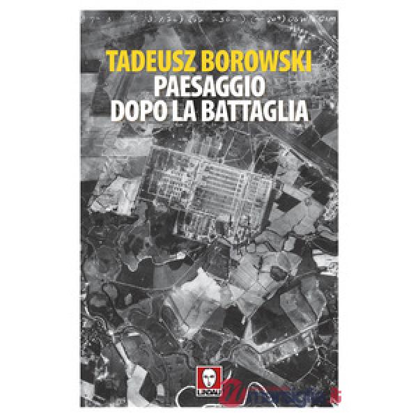 Paesaggio dopo la battaglia