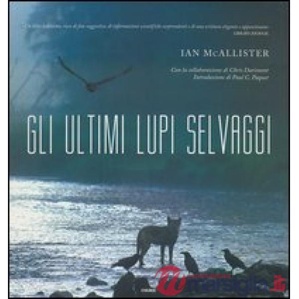 Ultimi lupi selvaggi. Ediz. illustrata (Gli)