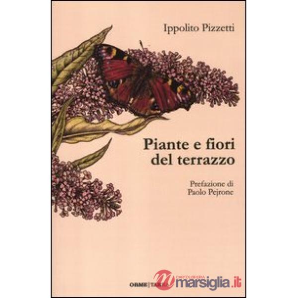 Piante e fiori del terrazzo