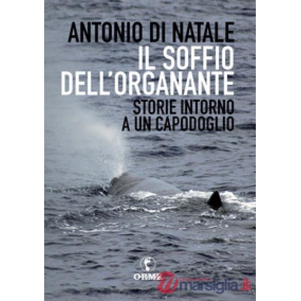 Soffio dell'organante. Storie intorno a un capodoglio (Il)