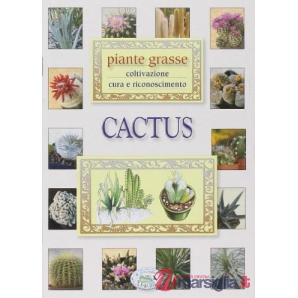 Cactus. Piante grasse