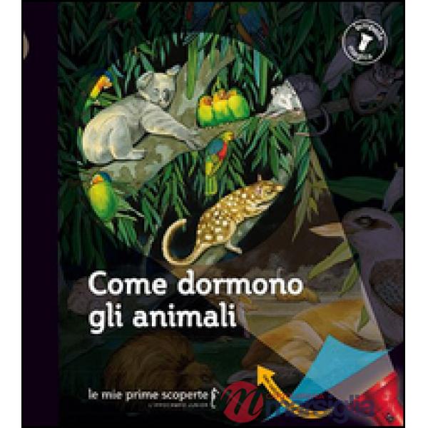 Come dormono gli animali. Lampada magica