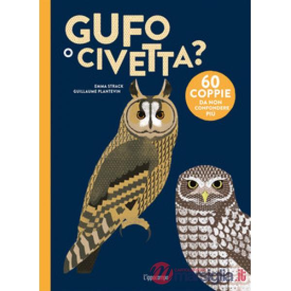 Gufo o civetta?