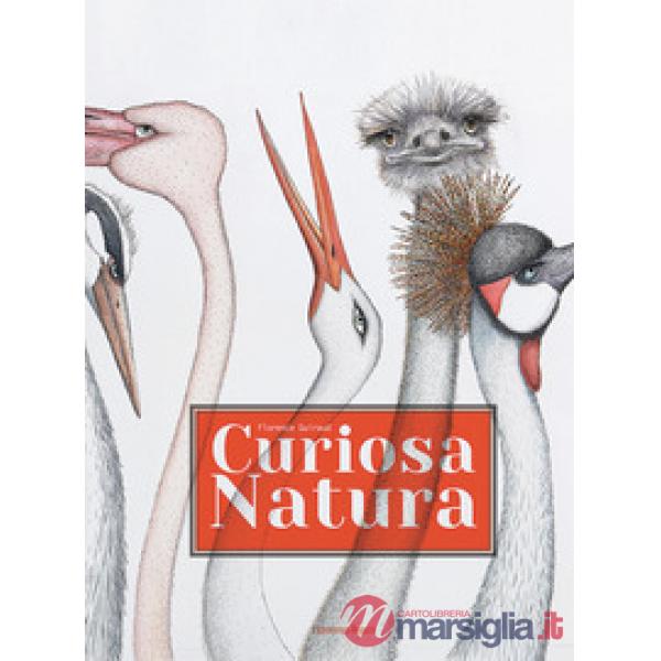 Curiosa natura