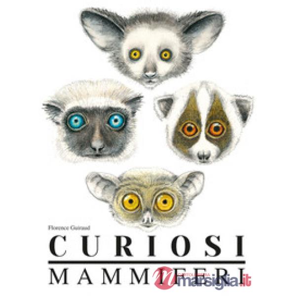 Curiosi mammiferi. Ediz. a colori