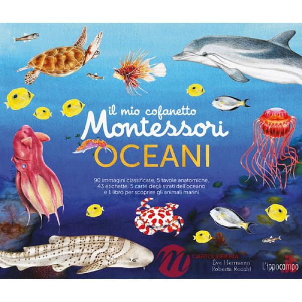 Mio cofanetto Montessori degli oceani. Ediz. a colori. Con 90 carte degli animali. Con 5 carte degli strati dell'oceano. Con 43 