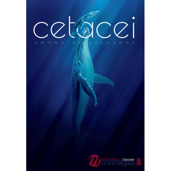 Cetacei. Album scoperte