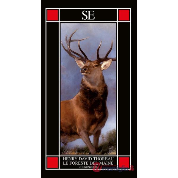 Foreste del Maine. Chesuncook (Le)