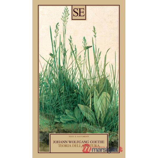Teoria della natura