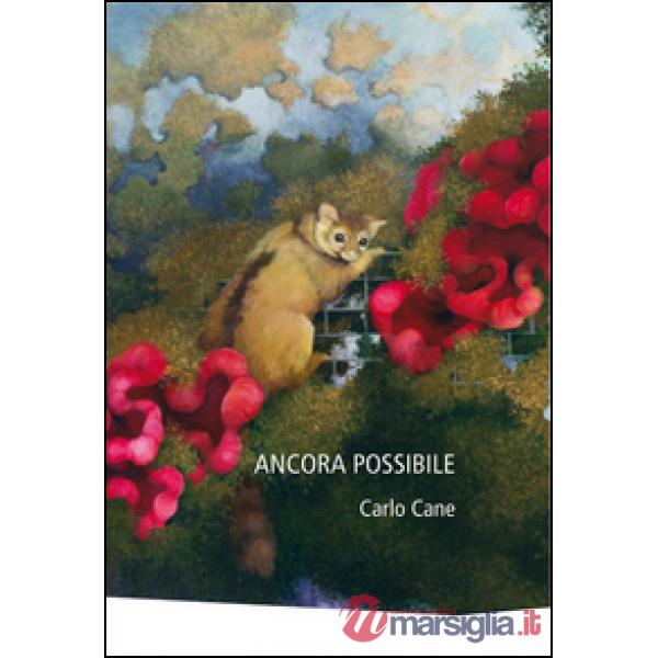 Ancora possibile. Ediz. illustrata