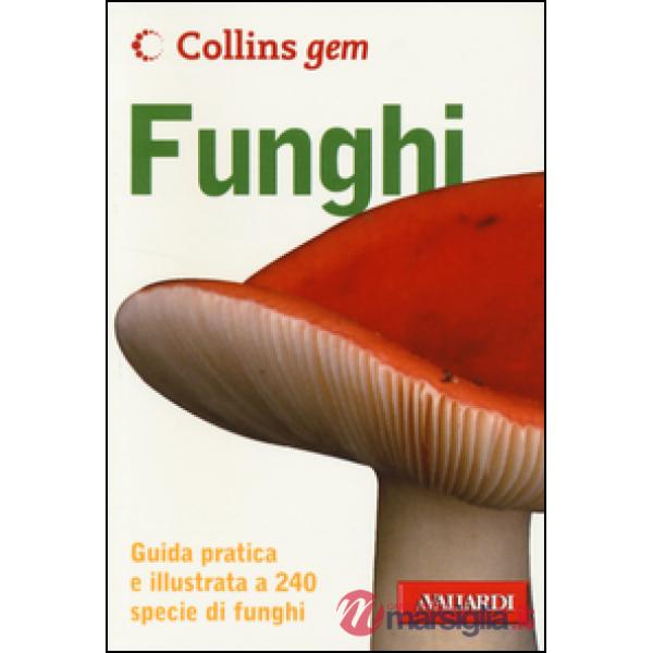 Funghi