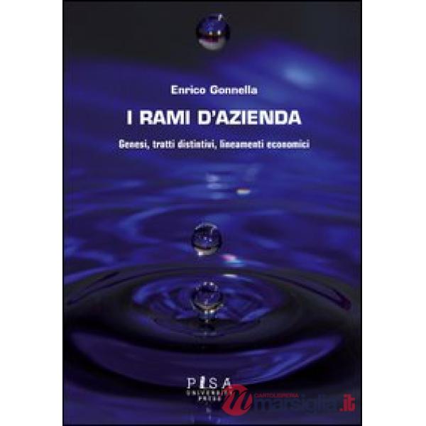 Rami d'azienda. Genesi, tratti distintivi, lineamenti economici (I)