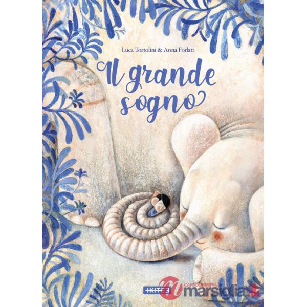 Grande sogno. Ediz. a colori (Il)