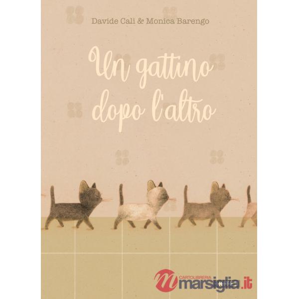 Gattino dopo l'altro. Ediz. illustrata (Un)