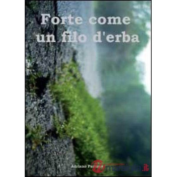 Forte come un filo d'erba