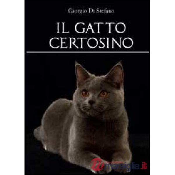 Gatto certosino (Il)