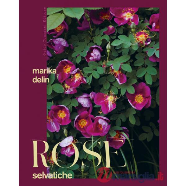 Rose selvatiche