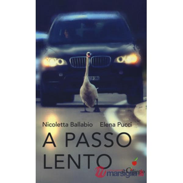 Passo lento. Pensieri, idee, proposte per educare alla lentezza nel tempo della