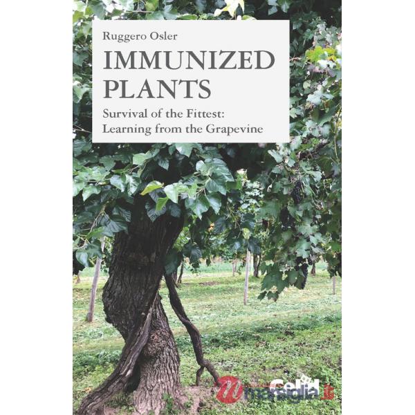 Immunized plants. Survival of the fittest: learning from the grapevine