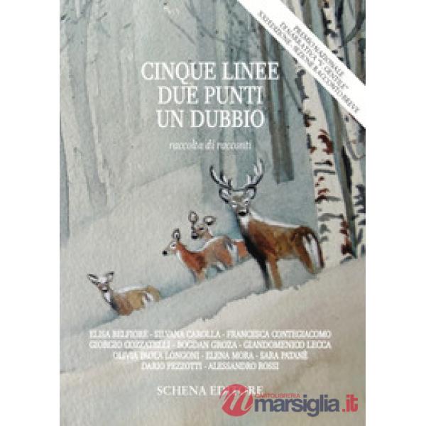 Cinque linee, due punti, un dubbio