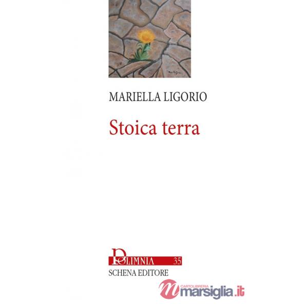 Stoica terra