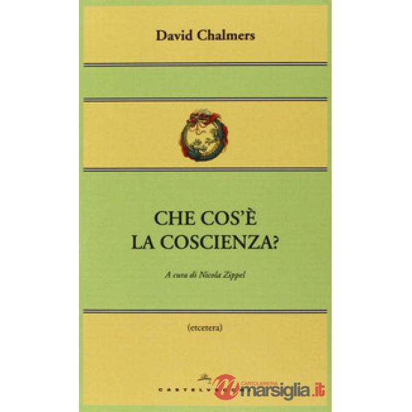Che cos'è la coscienza?