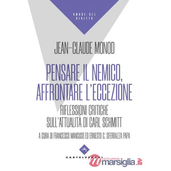 Pensare il nemico, affrontare l'eccezione. Riflessioni critiche sull'attualità di Carl Schmitt